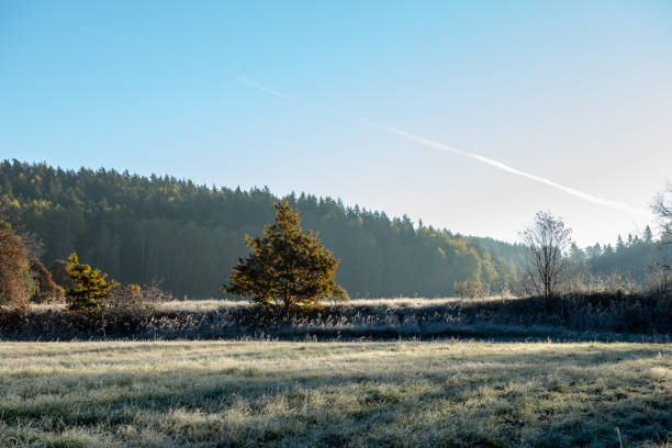 istock first winter frost in sunrise light in countryside 1141283841