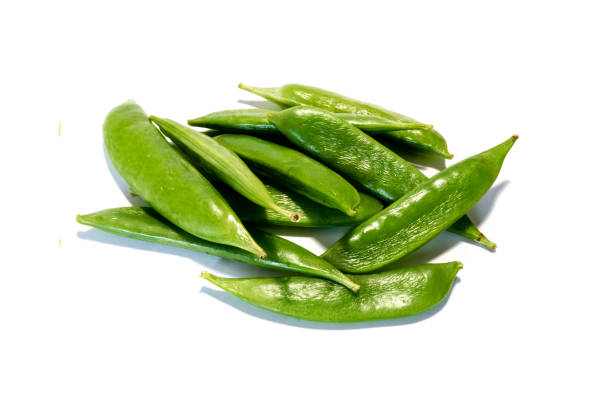istock sugar pods isolated on white background 1141284958
