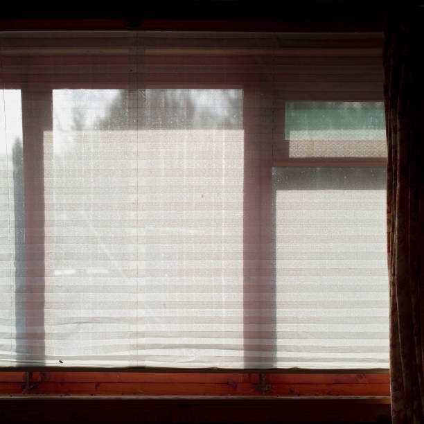 istock Blinds and anti insects net on a window 1141286611