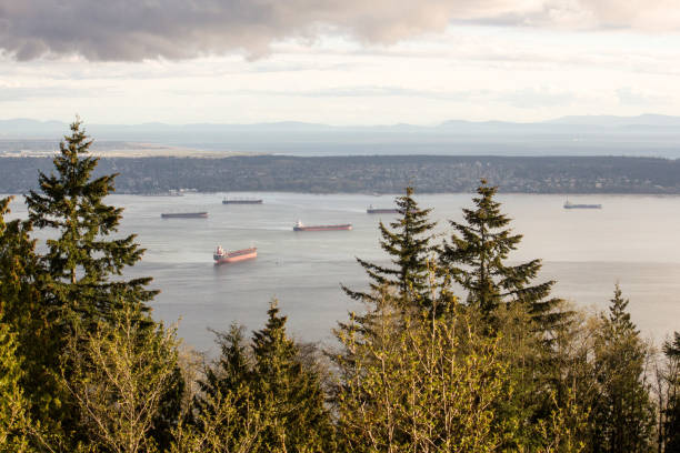 istock cargo ships anchored in burrard inlet 1141288411