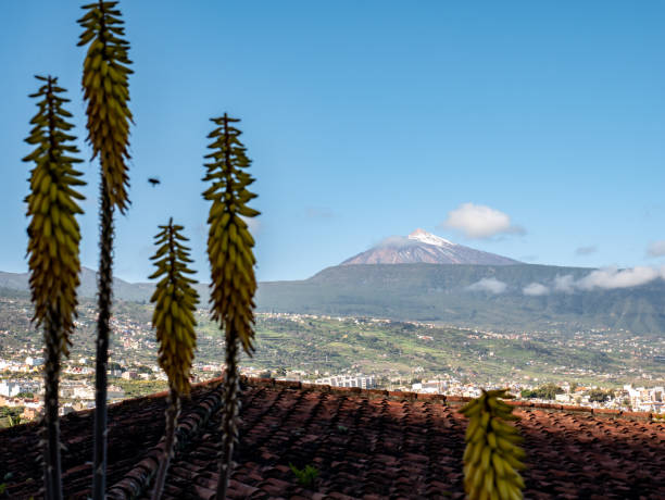 istock Distant view of a snowy mountain 1141288743