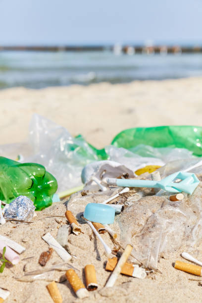istock Plastic bottle cap among other single use products and cigarette butts. 1141289847