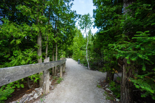 Sisters walk on trail in forest together on a sunny summer day, Pender Island, B.C.