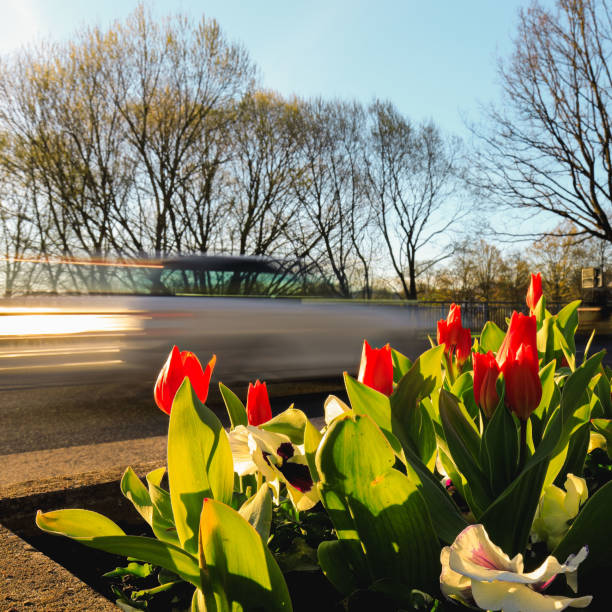 istock A car passing by with flowers foreground 1141290342