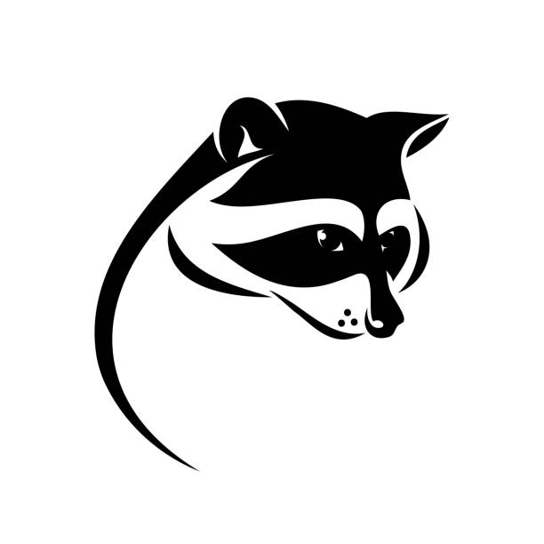 Raccoon Symbol Vector Illustration Stock Illustration - Download Image Now  - Raccoon, Logo, Tattoo - iStock