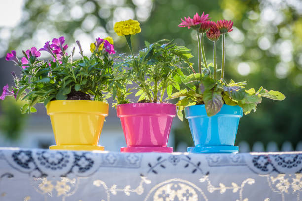istock Colorful flower pots on table in backyard 1141290884
