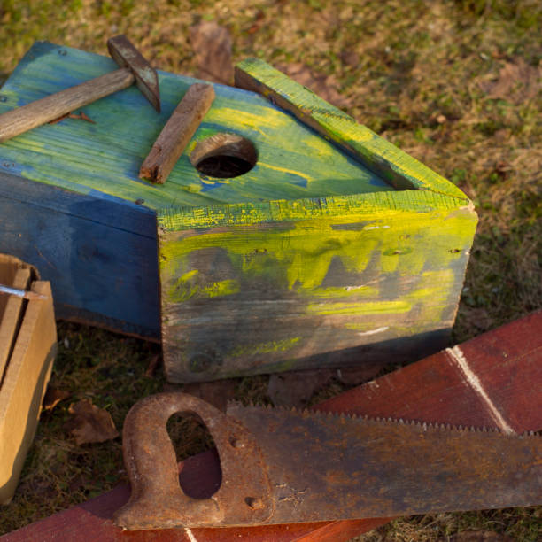 istock making a wooden bird nest box 1141291477