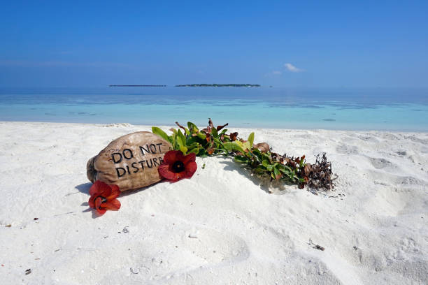 Please do not disturb - Standing on a coconut on the beach of the Maldives. Please do not disturb during your holiday.
