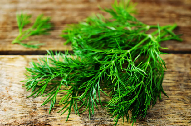 istock Fresh dill leaves on a dark wood background 1141292686
