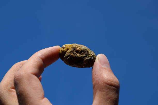 istock calculus of heterogeneous composition against a blue sky. 1141293004