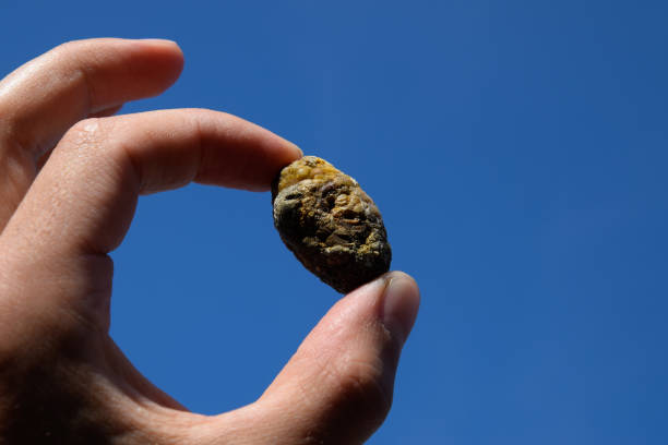 istock calculus of heterogeneous composition against a blue sky. 1141293006