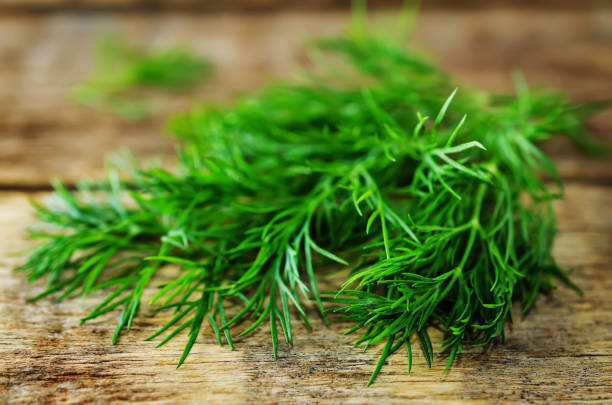 istock Fresh dill leaves on a dark wood background 1141293758