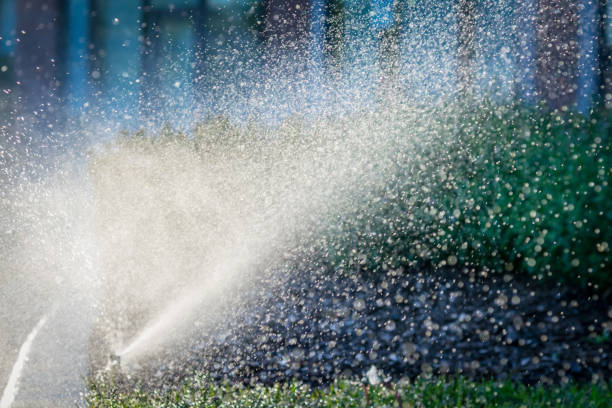istock Water spraying from sprinkler in sunlight 1141294004