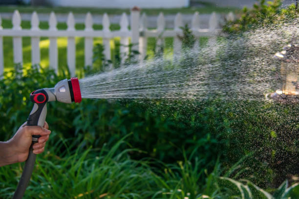 istock Woman’s hand spraying garden hose in the backyard 1141295572