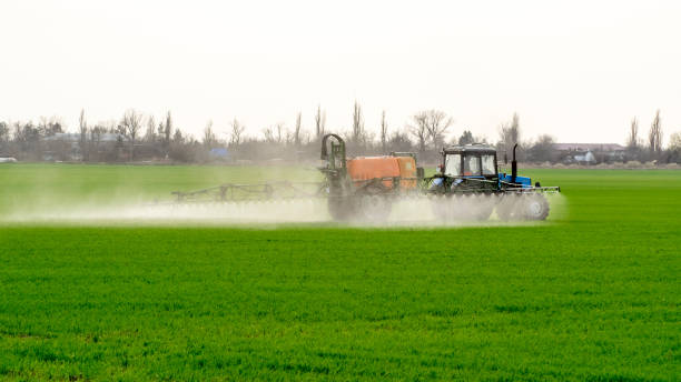 Tractor with a spray device for finely dispersed fertilizer. Tractor with high wheels is making fertilizer on young wheat. The use of finely dispersed spray chemicals. Tractor with a spray device for finely dispersed fertilizer. finely stock pictures, royalty-free photos & images