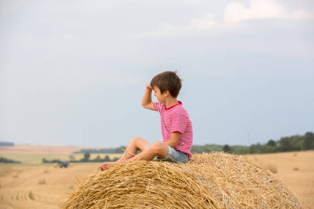 istock Cute preschool boy, sitting on hastack in field on a cloudy day 1141299164