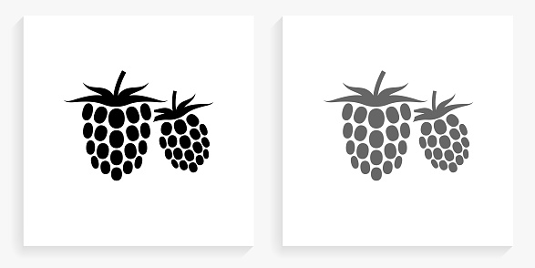 Two Raspberries Black and White Square Icon. This 100% royalty free vector illustration is featuring the square button with a drop shadow and the main icon is depicted in black and in grey for a roll-over effect.