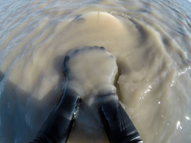 istock Surfers holding dirty water 1141303044