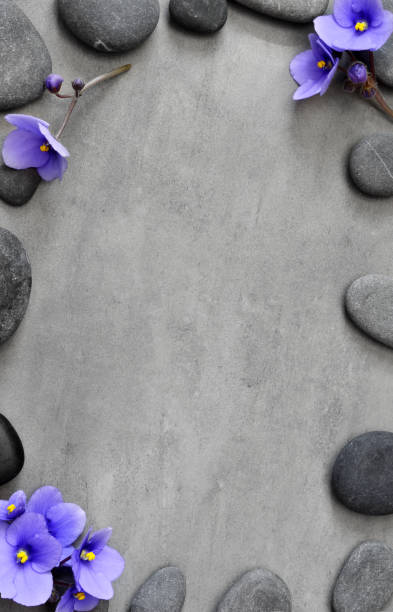 istock Blue flower and stone zen spa on grey background 1141304826