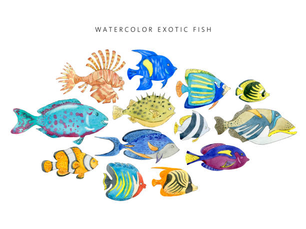 istock Set of cute tropical fishes on white background. 1141309139