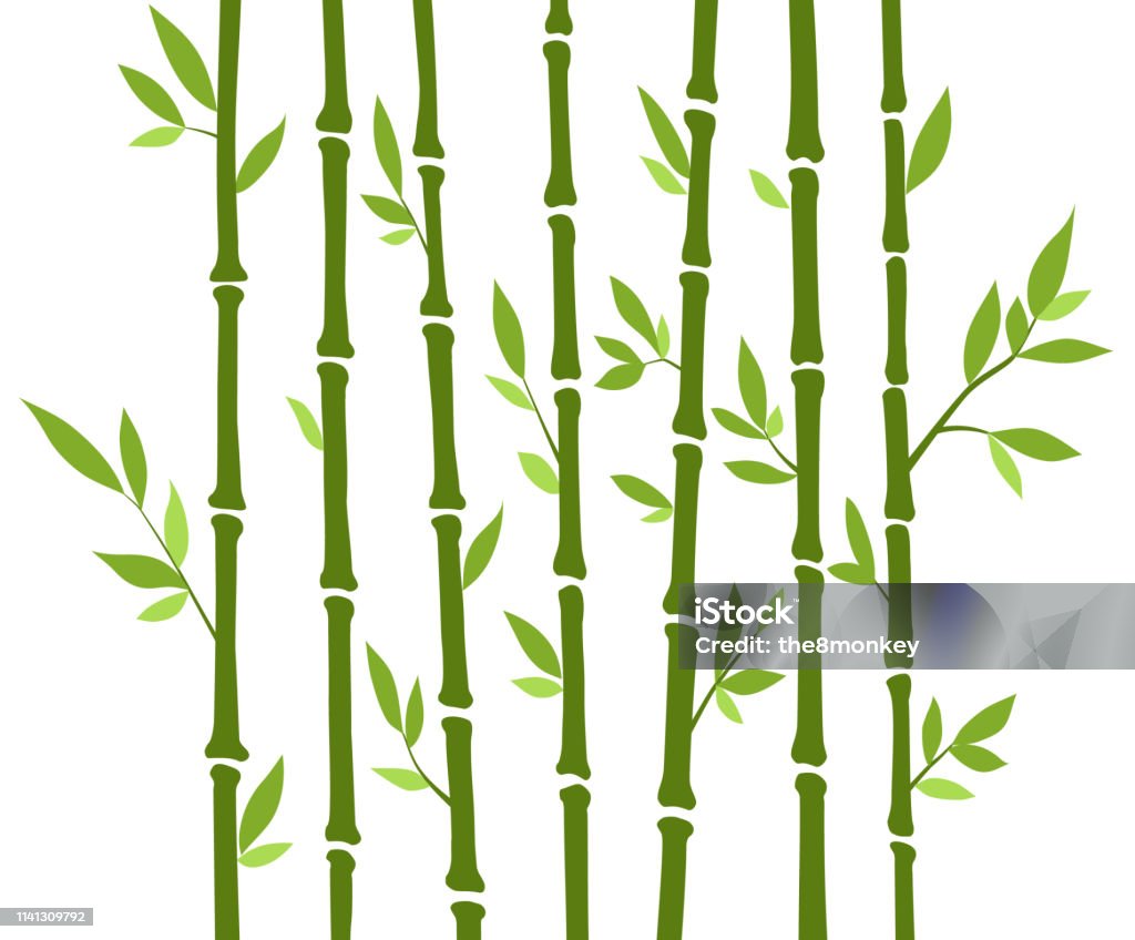 Bamboo forest set. Nature Japan, China. Plant Green tree with leaves. Rainforest in Asia Bamboo - Material stock vector