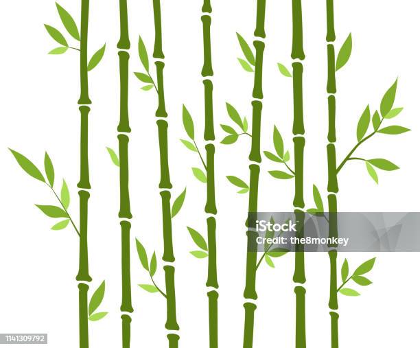 Bamboo Forest Set Nature Japan China Plant Green Tree With Leaves Rainforest In Asia Stock Illustration - Download Image Now