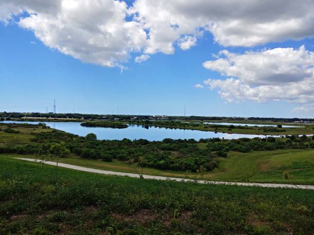 istock Celery Fields in Sarasota Florida city park 1141310939