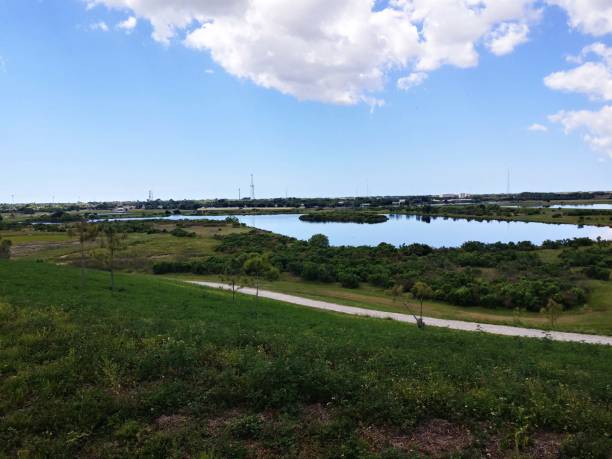 istock Celery Fields in Sarasota Florida city park 1141310954