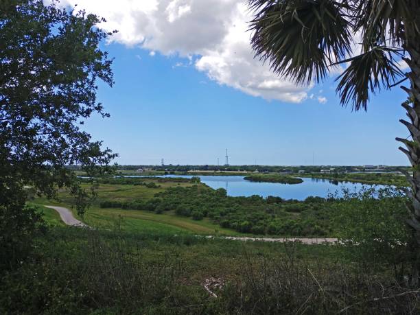 istock Celery Fields in Sarasota Florida city park 1141310959