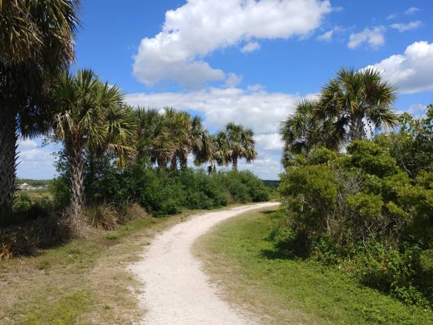 istock Sarasota Florida city park with walking path 1141311047