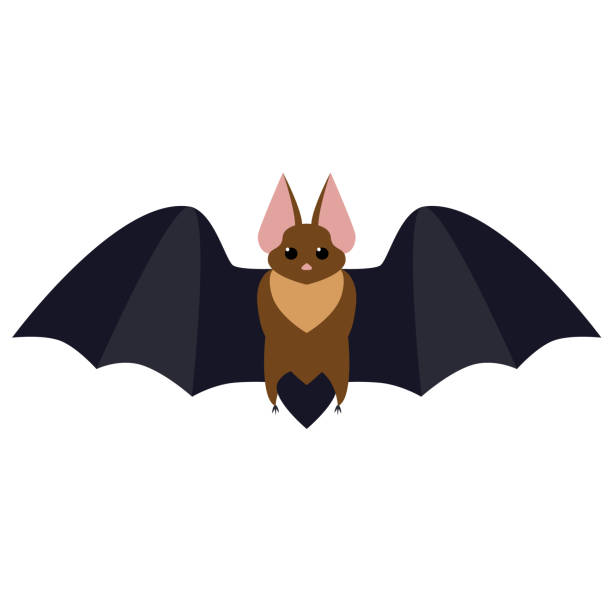 ilustrações de stock, clip art, desenhos animados e ícones de bat flat illustration - bat cartoon halloween wing