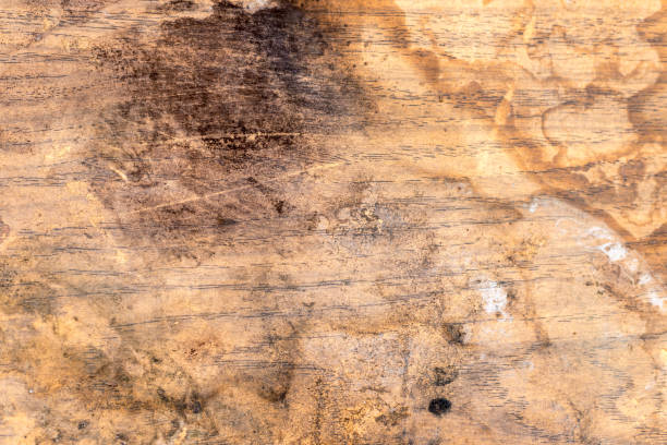 istock texture wooden stains for the whole frame 1141311192