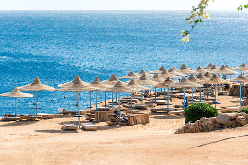 Travel and recreation, sun umbrellas, sun beds on the background of the blue sea. Horizontal frame