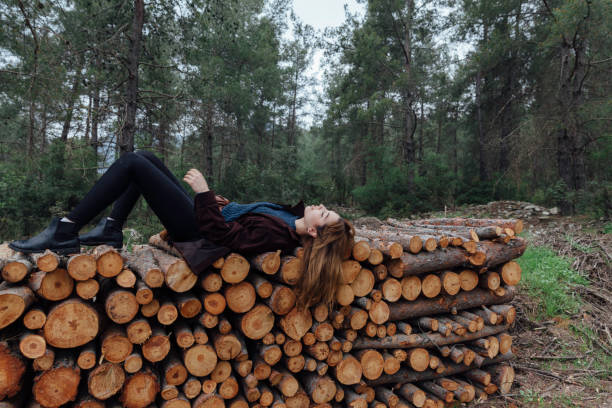 Beautiful Woman Lying Down Timber