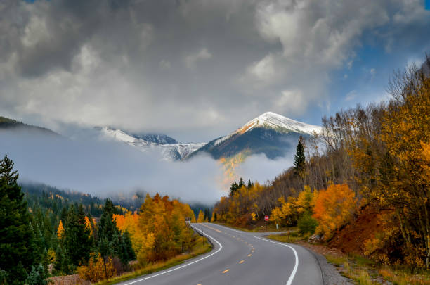 istock Autumn colors as aspen tree change in Colorado 1141315824