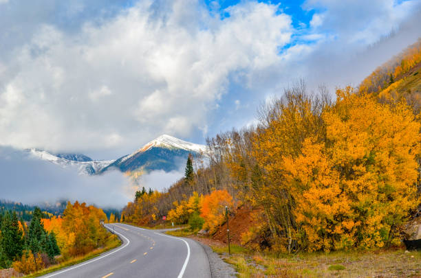 istock Autumn colors as aspen tree change in Colorado 1141315870