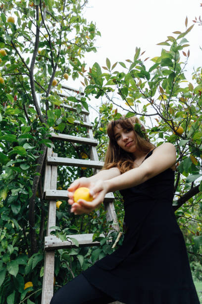 istock Do you want lemon? 1141319811