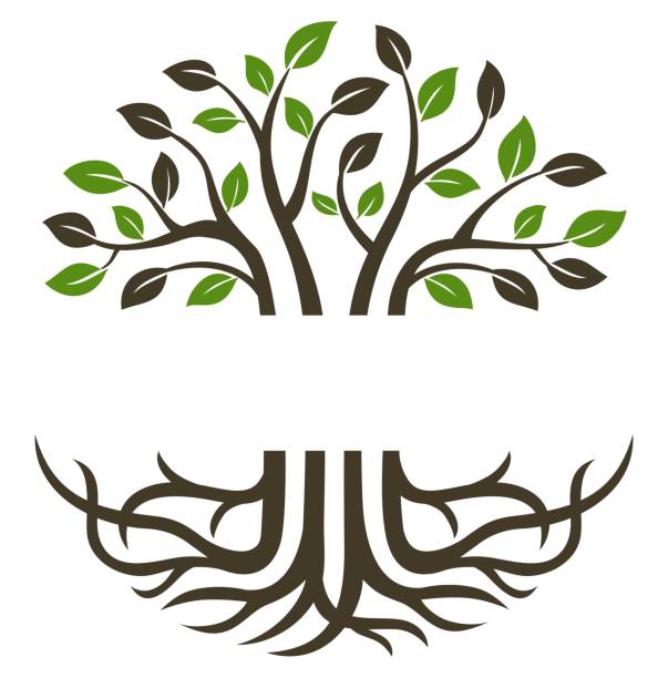 Circular trees and roots Circular trees and roots suitable for icons, logos, symbols and more tree roots stock illustrations