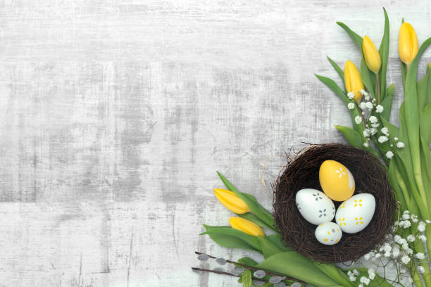 istock Easter eggs and flowers background 1141320750