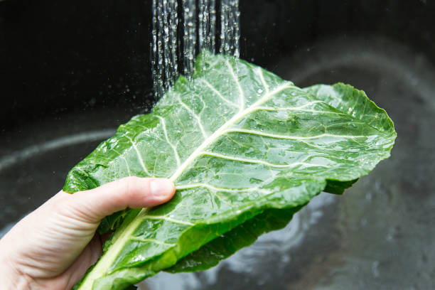 Washing your greens stock photo