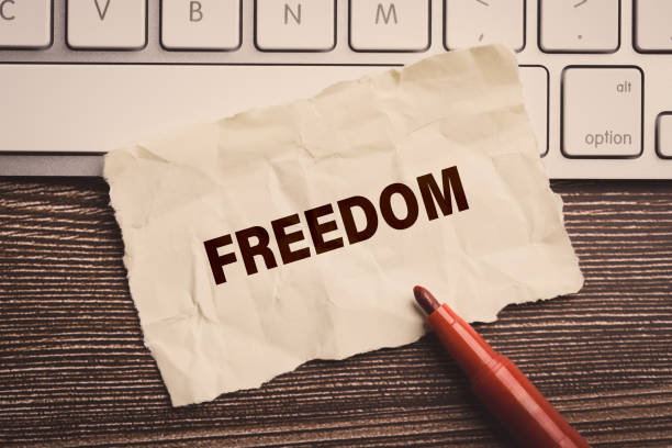 istock Free with paper background 1141322424