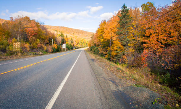 istock Road in Cape Breton in autumn 1141327601