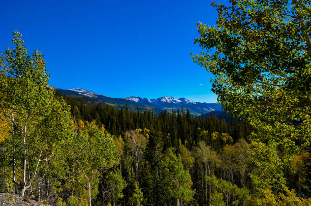 Autumn color change