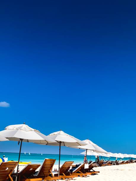 istock Relaxing in the beach 1141332793