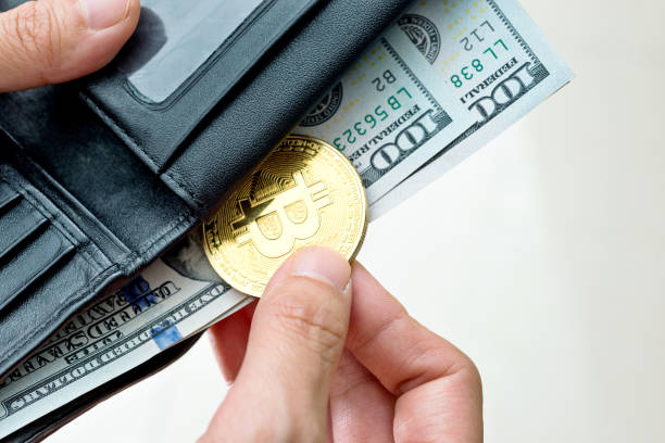 ludzka ręka wkładająca bitcoina do portfela - wallet wealth bill one hundred dollar bill zdjęcia i obrazy z banku zdjęć