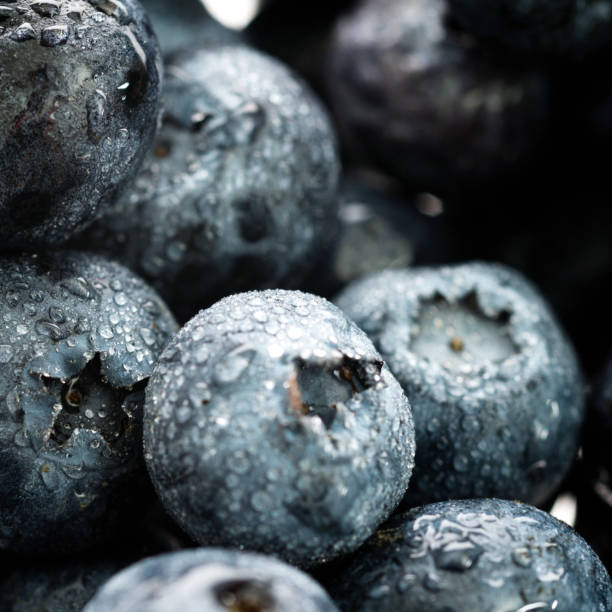 istock Close up of wet blueberry background 1141337346
