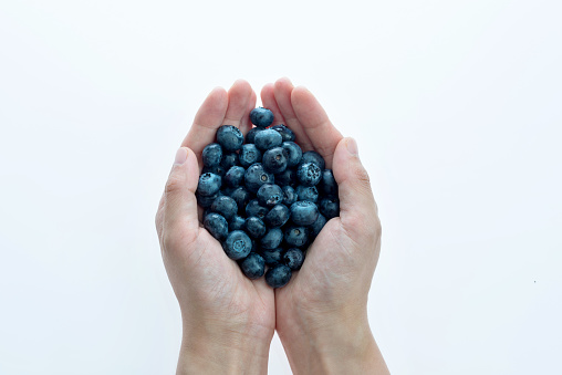 Handful of blueberries in woman hand.