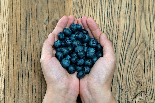 Handful of blueberries in woman hand.