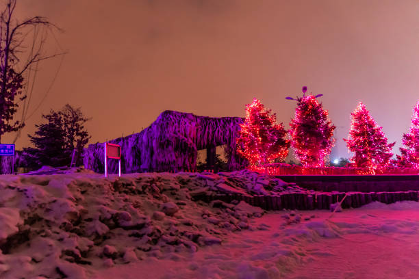 istock Changchun Beihu Park night view in the snow 1141339890