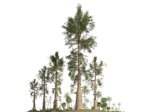 istock Forest of the mesozoic era isolated on white background 3D illustration 1141342004